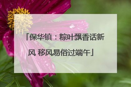 保华镇：粽叶飘香话新风 移风易俗过端午